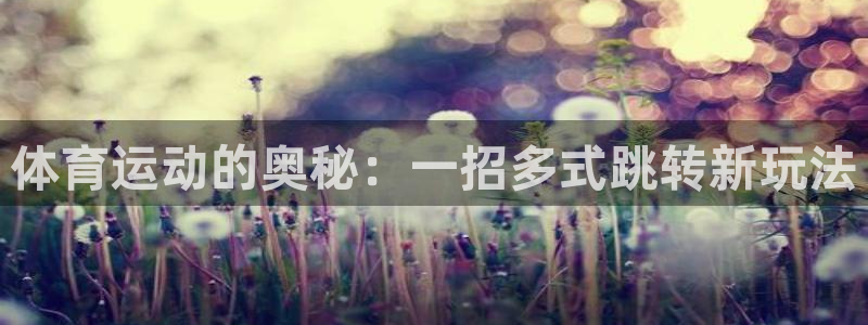 ug环球官网注册